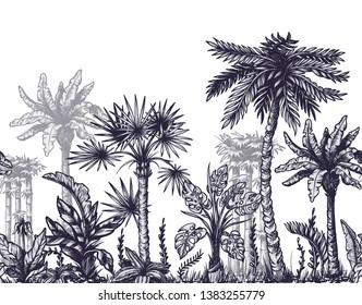 Nahtlose Grenze mit grafischen tropischen Bäumen wie Palmen, Banane, Monstera für die Innenausstattung.