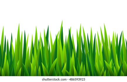 Seamless border with grass and flowers, vector illustration