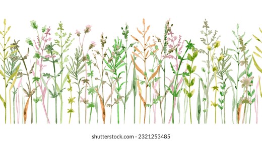frontera sin costuras de pastizales con diferentes plantas de hierbas. boceto de pintura acuarela de un campo de hierbas. ilustración vectorial. prado de césped aislado. textura rústica de la naturaleza veraniega