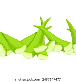Borde transparente de hojas de aloe vera verde