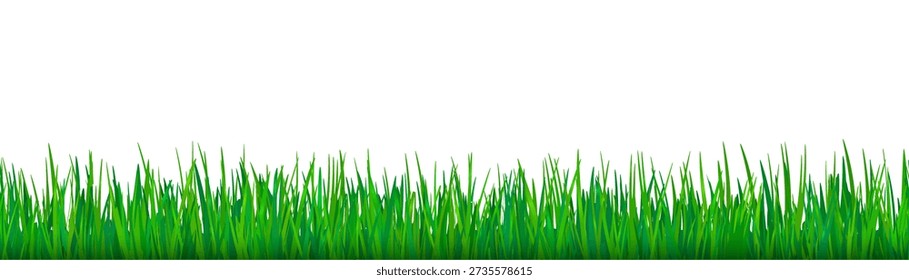Fronteira sem costura de grama verde. Campo, pasto, gramado ou prado plantas na vista da frente isolado no fundo branco. Padrão sem emenda horizontal com grama verde do prado, ilustração vetorial