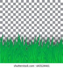 Seamless border with green grass isolated on transparent background