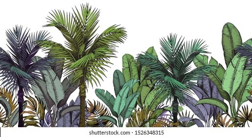 Seamless border with green tropical palm trees on white background. Hand drawn vector illustration.