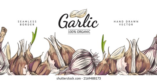 Seamless border with hand drawn colorful garlic sketch style, vector illustration on white background. Modern design element for web or menu, organic spicy, culinary concept