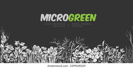 Seamless border with hand drawn different micro-green sprouts sketch style, vector illustration on gray background. Decorative design element, organic healthy food, home gardening