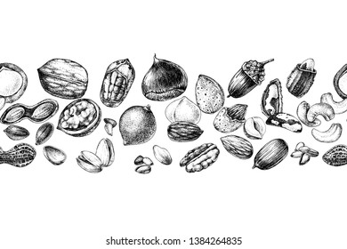 Seamless border with hand drawn edible nuts. Vector illustration