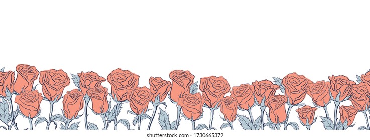 Seamless border with hand drawn roses. Isolated pink flowers on white background. Horizontal garland.