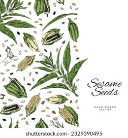 Seamless border with hand drawn sesame seeds, pods and flowers sketch style, vector illustration on white background. Decorative design element, natural organic product, culinary and food