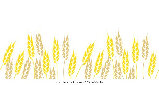 Seamless border, hand drawn wheat ears on white background. Vector illustration.