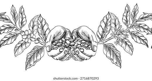Borda sem costura com mãos e um punhado de grãos de café. Ilustração vetorial para interiores de cafés e restaurantes, menus, embalagens e marcas de produtos.