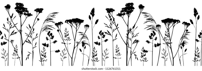 Seamless border with herbal silhouettes