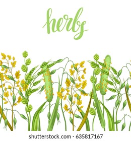 Seamless border with herbs and cereal grass. Floral ornament of meadow plants.