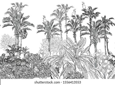 Seamless Border Leopard, Parrots, Hoopoe in Oleander and Hibiscus Flowers Etching Illustration Hand Drawn Graphics Panoramic View with Palm Trees Jungle Tropics on White Background