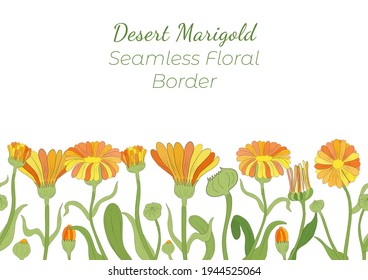 Seamless Border Made with Hand Drawn Desert Marigold Arranged Horizontally. Multicolored Tagetes branches, flowers, buds, leaves and fruits with contour. Composition for Any Designs, Advertising etc.