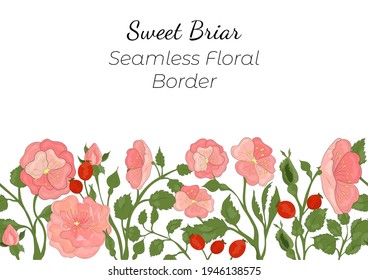 Frontera sin Maravilla hecha con la mano de Rosa Canina arreglada horizontalmente. Ramas multicolores de Perro-Rosa, flores, brotes, hojas y frutas con contorno. Composición para cualquier diseño, publicidad, etc.