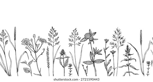 Nahtlose Umrandung mit Wiesenpflanzen und Wildgetreide im skizzenhaften, handgezeichneten Stil. Freihandzeichnung, Vektorgrafik