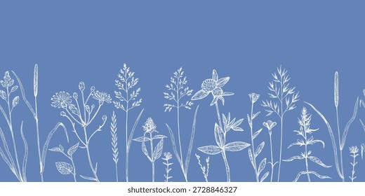 Frontera sin fisuras con plantas de prado y cereales silvestres en estilo sketchy dibujado a mano. Dibujo de tinta, Ilustración vectorial