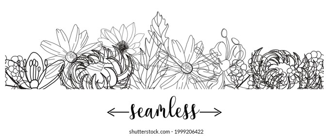 seamless border with medicinal herbs. vector template. Wild medicinal plants. Retro flowers. Hand drawing illustration. Engraving style. Botanical illustration. Pharmacy herbs labels. Fresh local orga