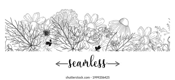 seamless border with medicinal herbs. vector template. Wild medicinal plants. Retro flowers. Hand drawing illustration. Engraving style. Botanical illustration. Pharmacy herbs labels. Fresh local orga