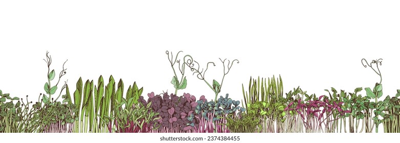 Seamless border with microgreens plants