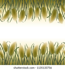 Seamless border with miscanthus in watercolour style. Repeat wallpaper on white background for textile prints or template for greeting, birthday cards, invites, covers and posters with text place.