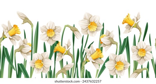 Seamless border of narcissus flowers on an isolated background. Illustration with spring flowers for Easter. Suitable for decor, fabric, cards, backgrounds, wallpapers