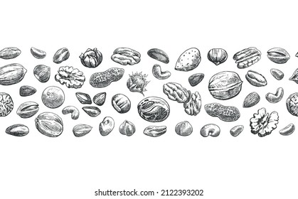 Seamless border of nuts. Hand drawn elements. Sketch almond, brazil nut, nutmeg, macadamia, cashew, pecan, peanut, pistachio, chestnut.Vector Illustration for design package, menu