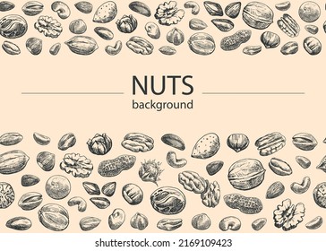 Borde transparente Mezcla de tuercas Vector fondo. Elementos dibujados a mano. Almendras, nueces de brasil, nuez moscada, macadamia, anacardos, pecan, maní, pistacho, castaño. Ilustración para el diseño