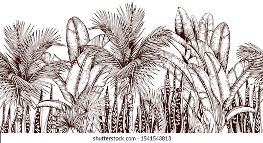 Seamless border with palm trees and snake plants. Sketchy tropical leaves. Hand drawn vector illustration.