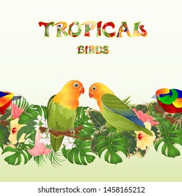 Seamless border Parrots Agapornis lovebird tropical birds  standing on a branch and Brugmansia with pink and yellow hibiscus  on a white background vector illustration editable hand draw