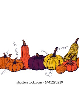 Seamless border pattern of autumn pumpkins colored outline of different kinds on white background.