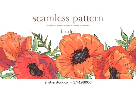 Seamless border pattern with colorful poppy. Seamless stripe with hand drawn. Vector illustration