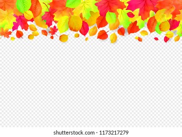 Seamless border pattern of falling autumn leaves. Vector