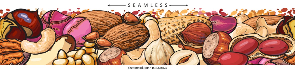 Seamless border or pattern with nuts such as peanuts and cashew, almond and hazelnut hand drawn vector illustration isolated on white background. Endless seeds ornate.