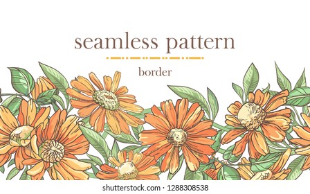 Seamless border pattern with sketch colorful blossoms. Seamless stripe with hand drawn camomile and leaves. Vector illustration