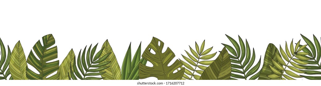 Seamless border (pattern) tropical or forest leaves with many shades of green, oval or ovoid type with cuts. Isolated on a white background