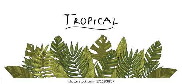 Seamless border (pattern) tropical or forest leaves with many shades of green, oval or ovoid type with cuts. Sketch inscription topical. Isolated on a white background