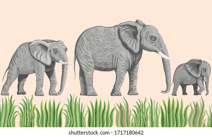 Seamless border pattern of vector savannah safari animals. African elephants, palm tree leaves, grass, herbs, bush isolated on a beige background