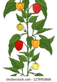 seamless border. pepper bushes. endless ornament. hand drawn. vector illustration.