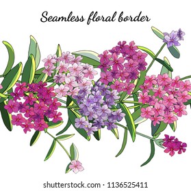 Seamless border with phlox flowers isolated on white. Excellent print for Excellent print for clothes, bed linens, fabric, textiles, wallpaper, wrapping paper, gift box.