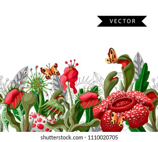 Seamless border with plant predators flowers such as Venus flycatcher, sundew and  other. 