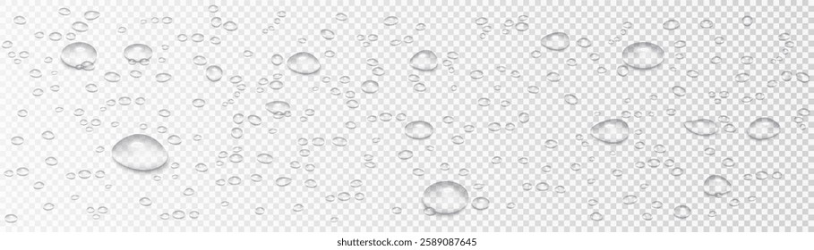 Seamless border of realistic vector water drops isolated on a transparent background. Stunning illustration of droplets from rain, shower, dew, or condensation on glass surfaces. 