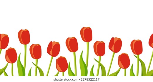 Borde transparente de tulipanes rojos sobre un fondo blanco. Ilustración vectorial de flores para tarjeta, afiche, impresión.