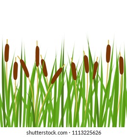 Seamless border with reeds. Horizontal seamless pattern border.