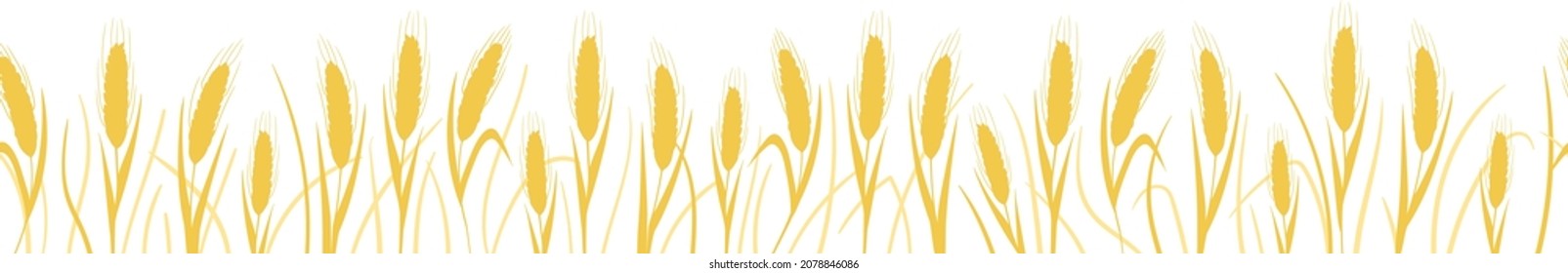Borde sin foco, cinta con orejas de trigo, cebada, granos. Esbozo realista vector blanco y negro de la oreja de trigo, avena entera. Ilustración de plantas agrícolas, cebada y cosecha de centeno, harina