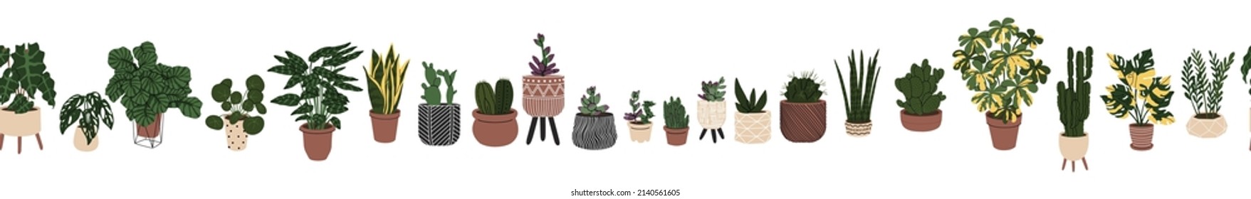 Seamless border with room plants in the pots. Web or Interior design. Modern Home plants. Flat style in Vector illustration. Isolated on transparent background.