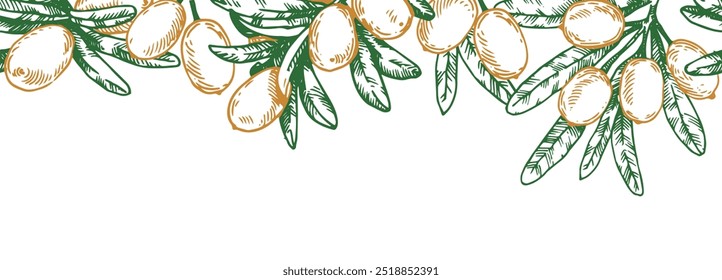 seamless border with sea buckthorn berries. vector frame in sketch style