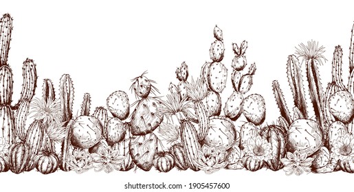 Borde transparente con cactús esquemáticos. Paisaje del desierto. Ilustración vectorial dibujada a mano sobre fondo blanco.