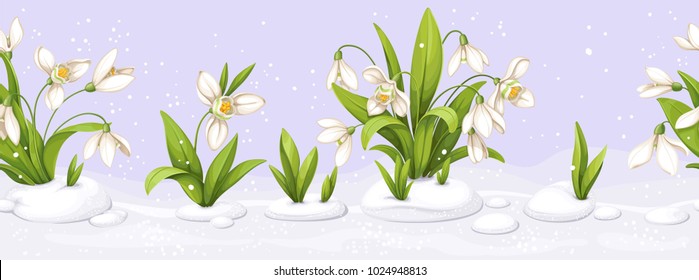 Seamless border from snowdrop making the snow through the snow and flowers on violet background