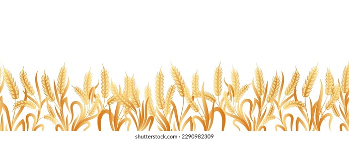 Seamless border of spikelets of wheat, rye, barley with copy space. Background, vector	
